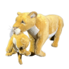 LIONNE D'OCCASION ET son PETIT